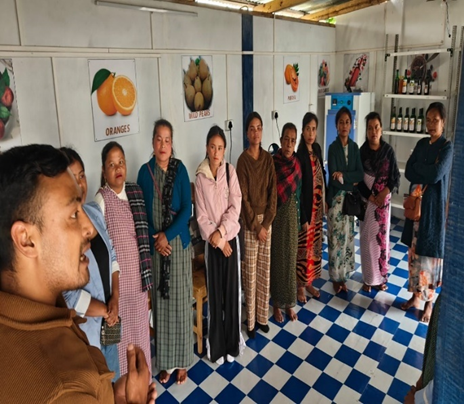 Solar Energy Empowerment Project Meghalaya